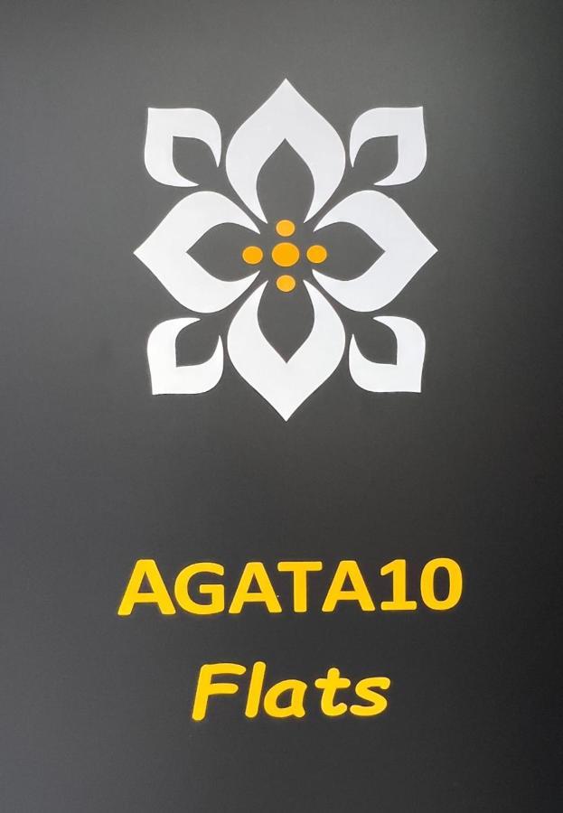 阿利坎特Agata10-2I公寓 外观 照片